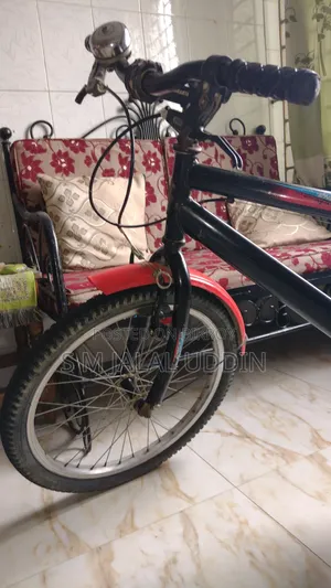 Duranta 20" Bicycle for Kids