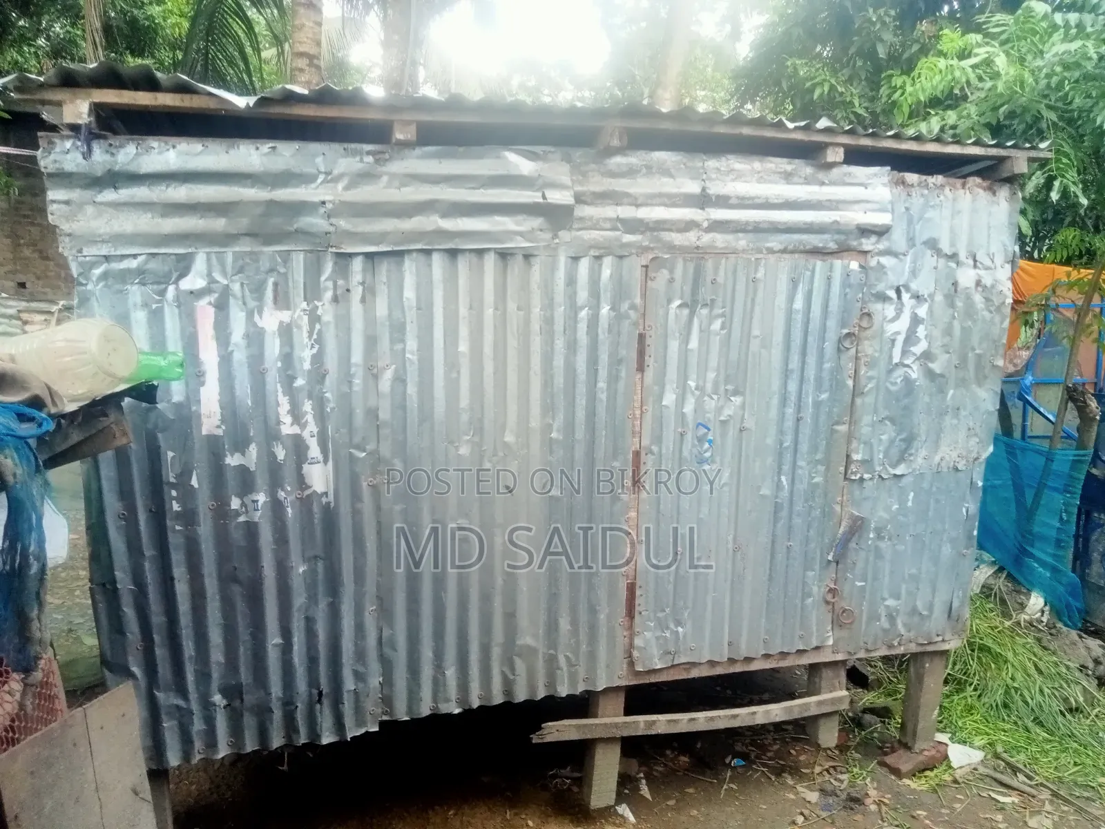 ছাগলের বড় ফোপ