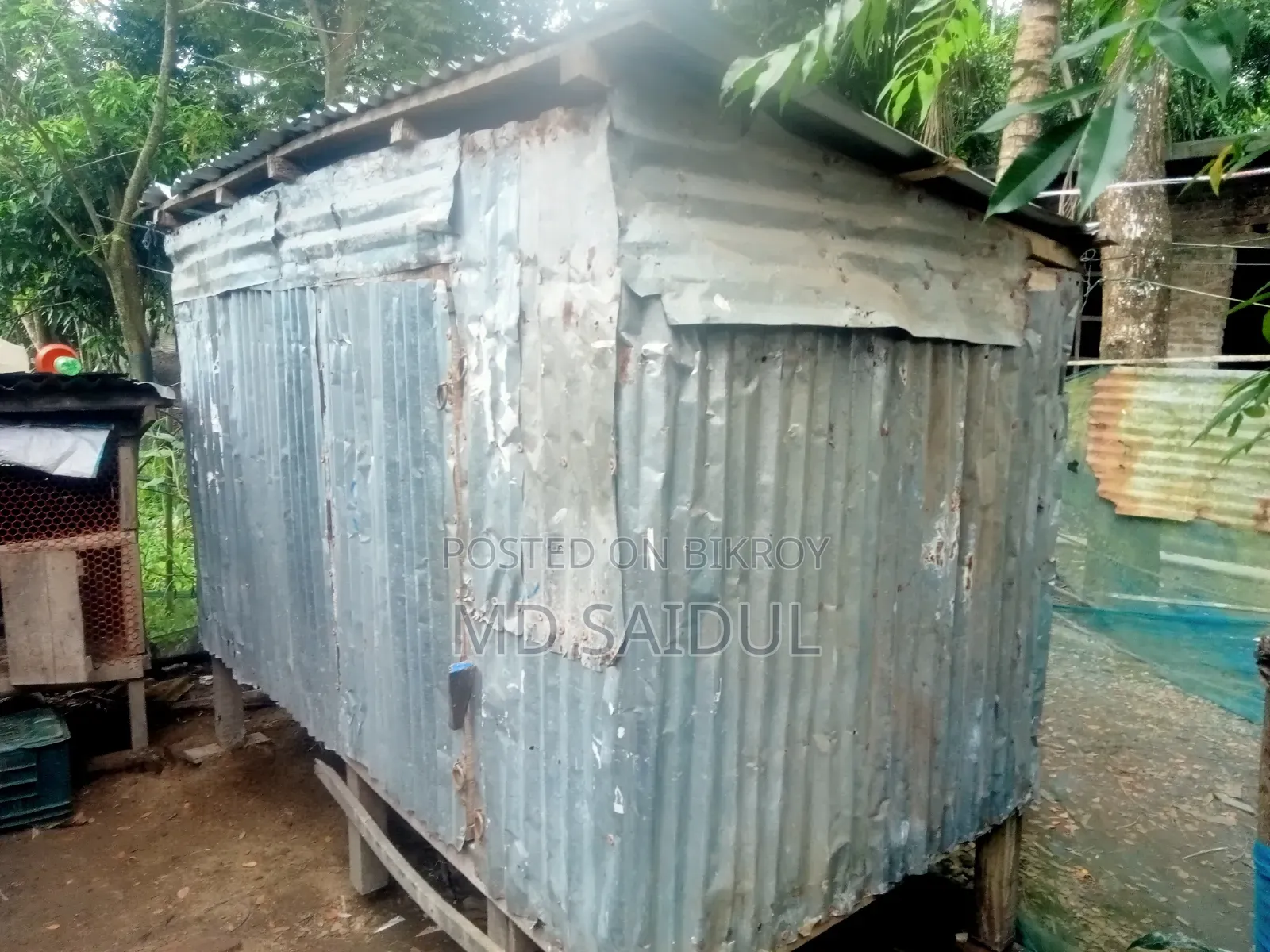 ছাগলের বড় ফোপ