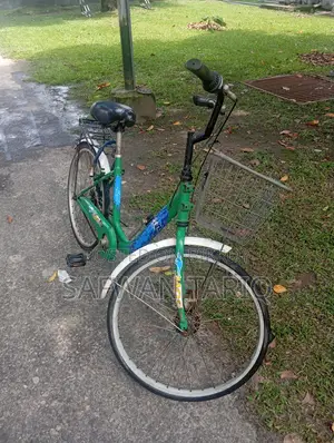 পুরুষ ও মহিলাদের জন্য বাইসাইকেল