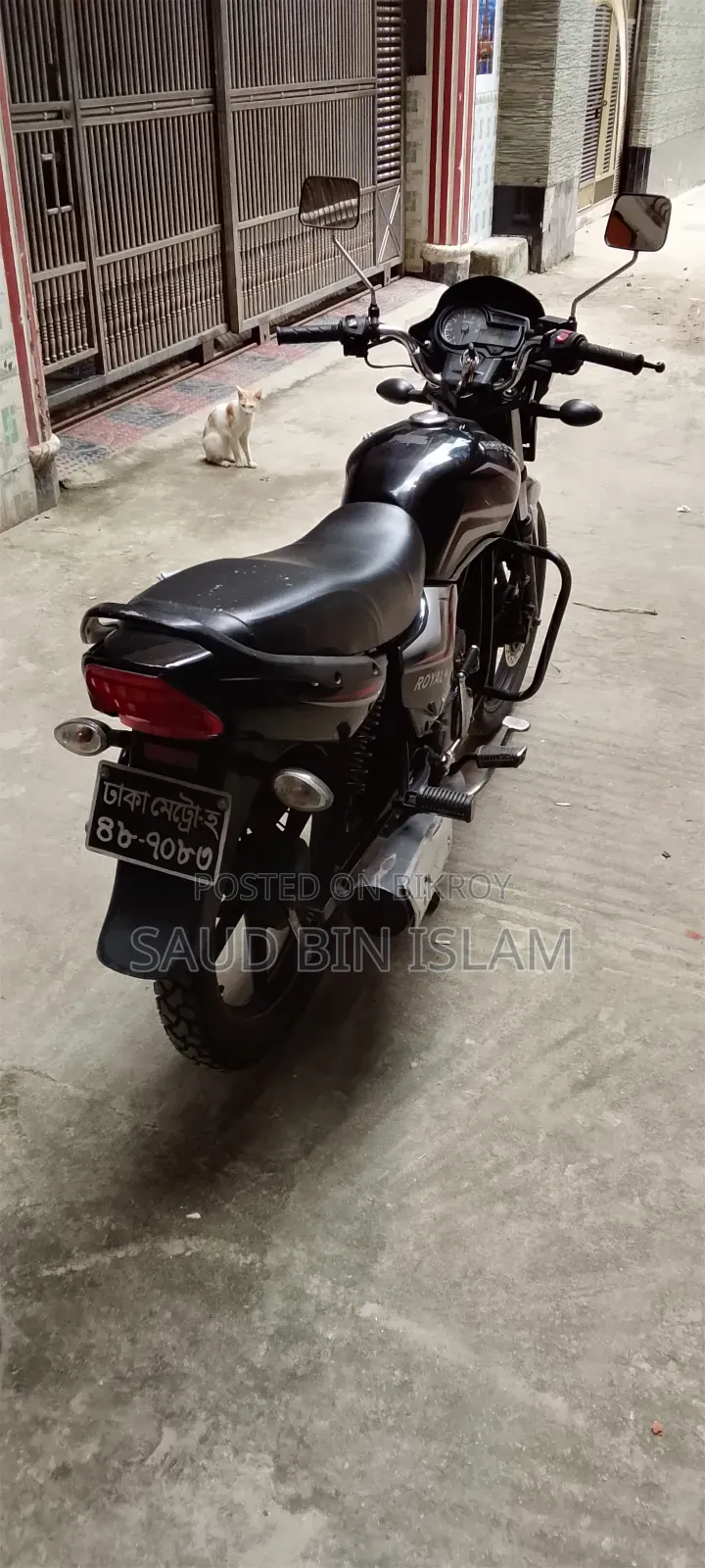 রানার রয়্যাল+ ভি২ ২০১৯ ব্ল্যাক