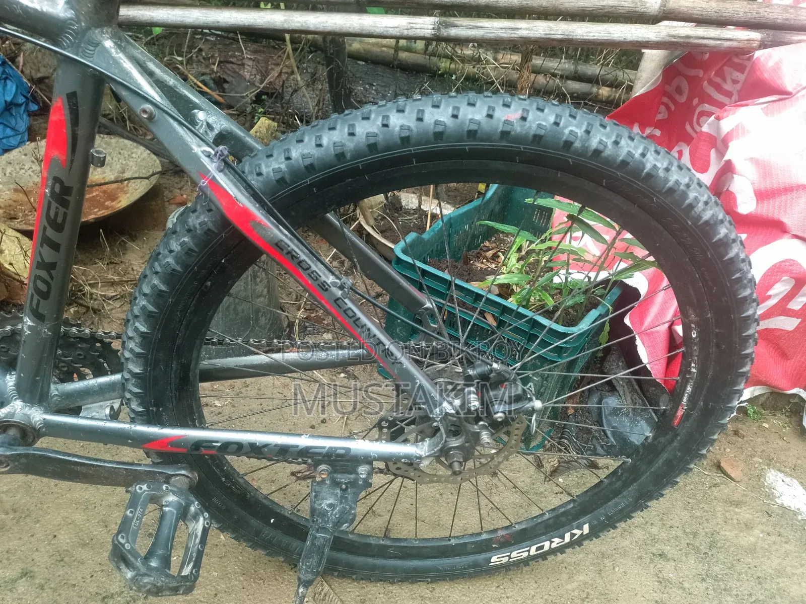 ফক্সস্টার বাইসাইকেল