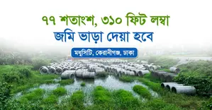জমি বা প্লট ভাড়া হবে - ৭৭ শতাংশ