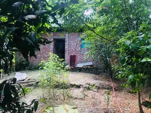 * জরুরি ভিত্তিতে জমি বিক্রয় ** লোকেশন:* বরগুনা