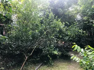 * জরুরি ভিত্তিতে জমি বিক্রয় ** লোকেশন:* বরগুনা