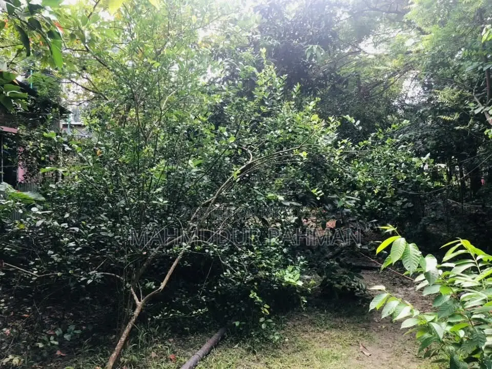 * জরুরি ভিত্তিতে জমি বিক্রয় ** লোকেশন:* বরগুনা