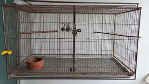 Birds Cage Big Size