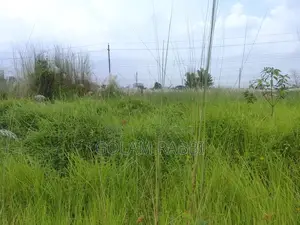 Land Sale Basundhara N Block 4 Katha South