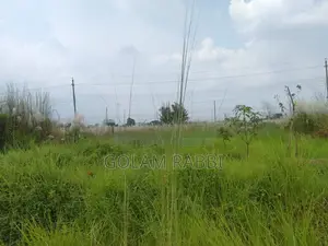 Land Sale Basundhara N Block 4 Katha South