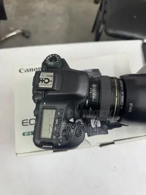 Canon 80D With Canon 85mm