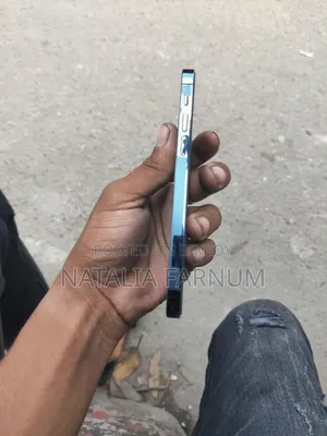 অ্যাপল আইপ্যাড প্রো ১২.৯ (২০২২) ২৫৬ জিবি ব্লু