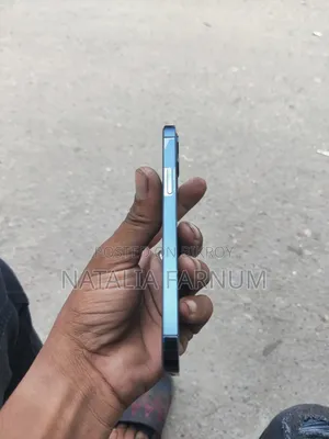 অ্যাপল আইপ্যাড প্রো ১২.৯ (২০২২) ২৫৬ জিবি ব্লু