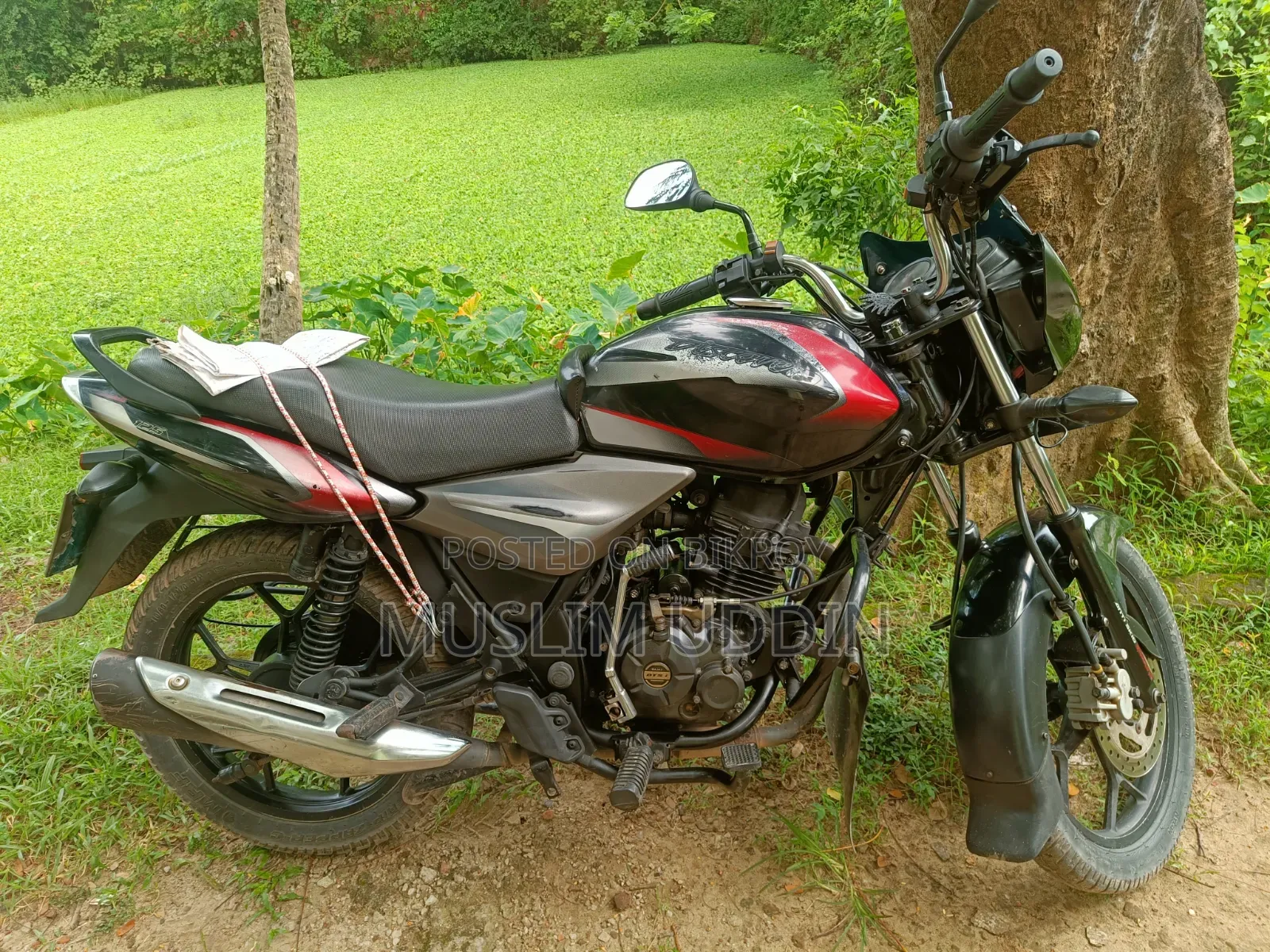 Bajaj Discover 125 2019 Black