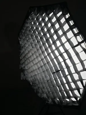 Godox TL-5, 95cm ZSYB Octa Softbox With Grid, Simpex Stand