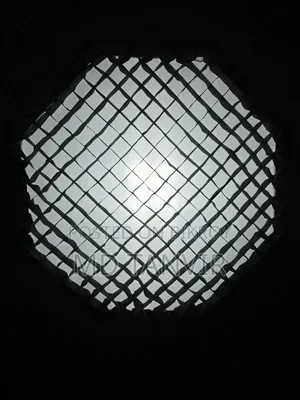 Godox TL-5, 95cm ZSYB Octa Softbox With Grid, Simpex Stand