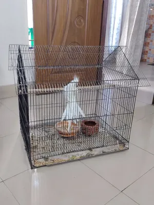 ১৮-৩৬ সাইজ পাখির খাচা