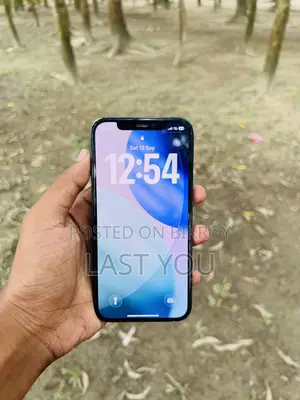 অ্যাপল আইফোন ১২ ১২৮ জিবি ব্লু