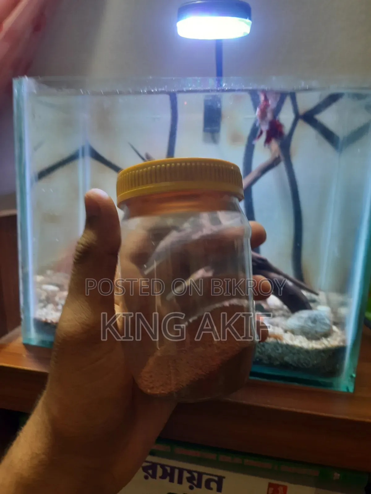 অ্যাকোয়ারিয়াম সেটআপ