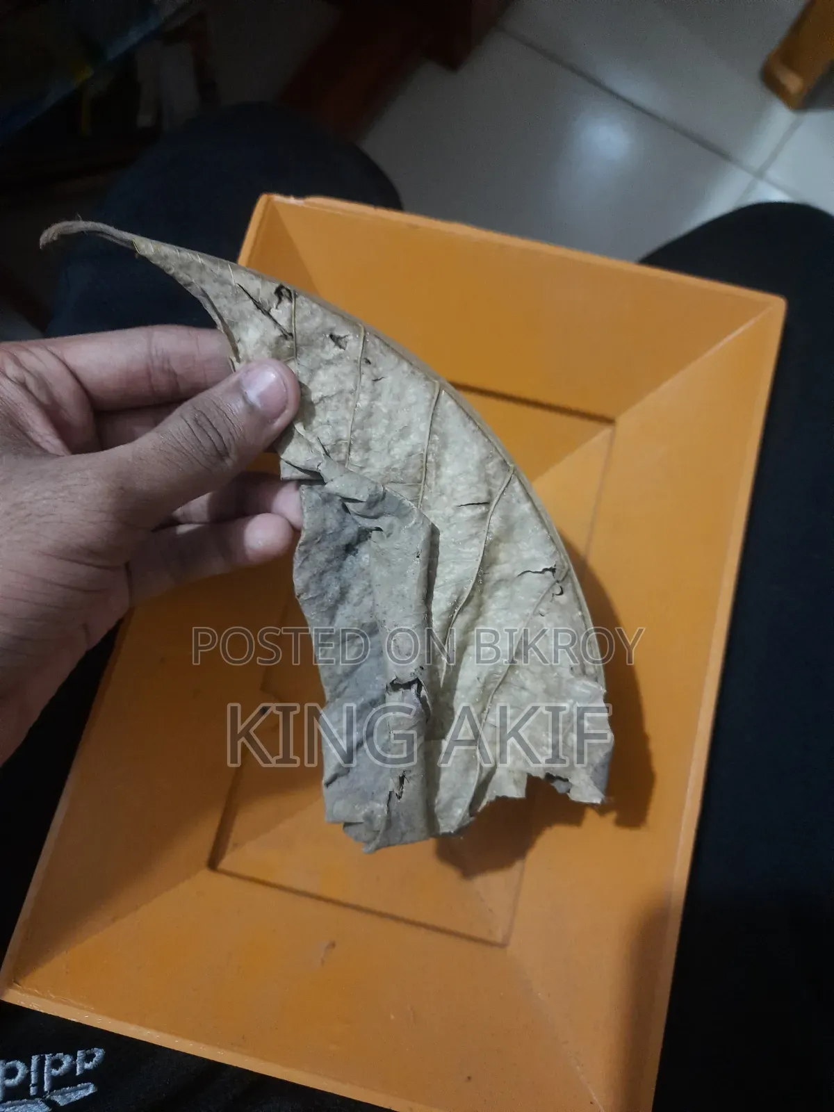 অ্যাকোয়ারিয়াম সেটআপ