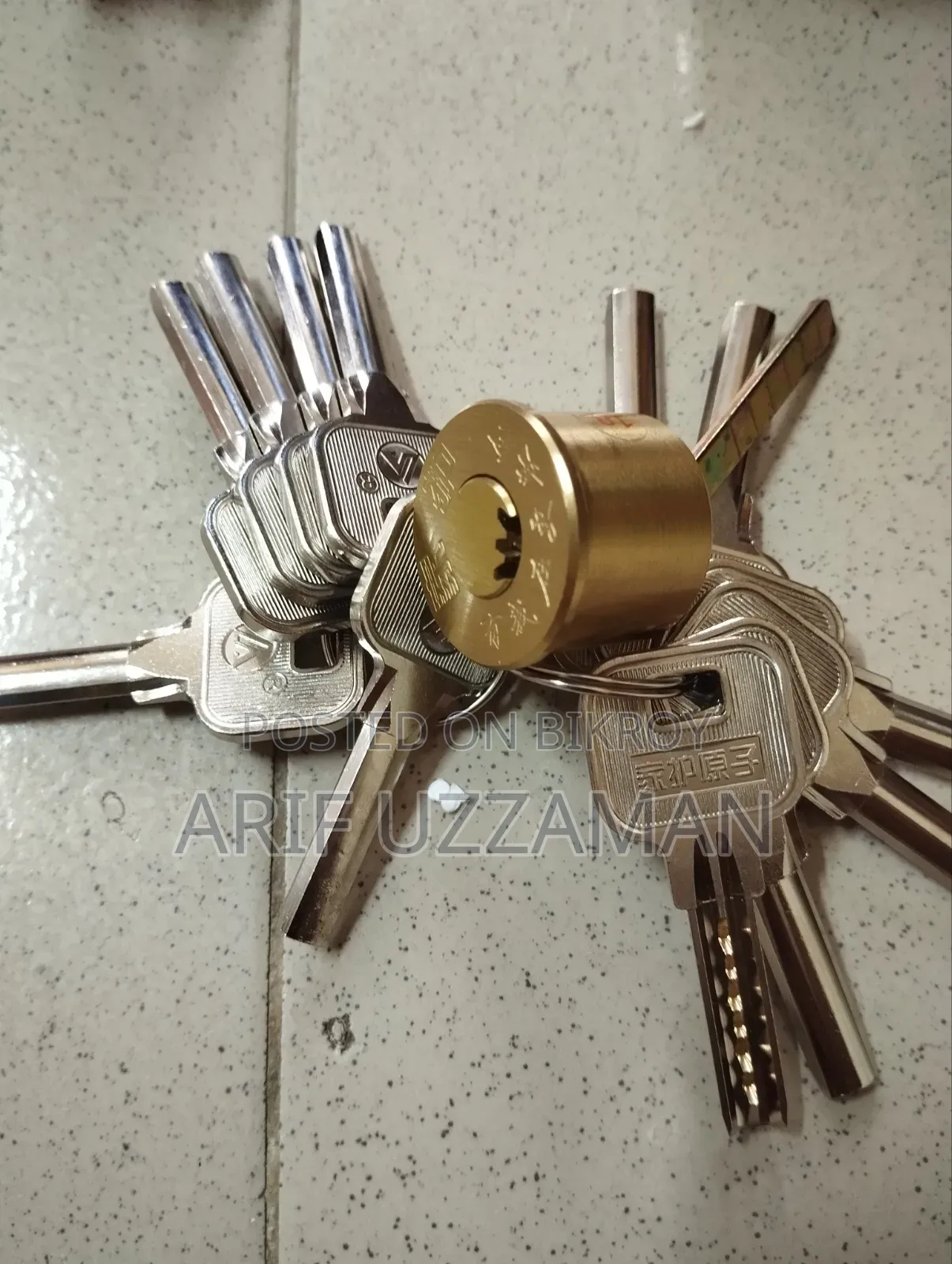 Main Gate Rim Lock