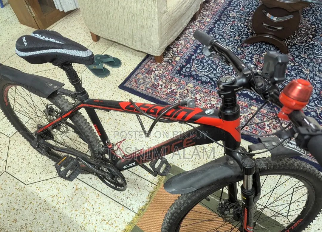 Veloce Legion 10 for Sale