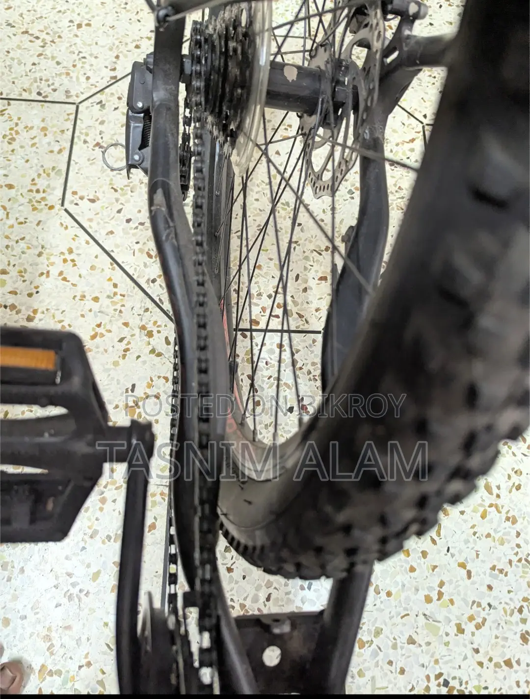 Veloce Legion 10 for Sale