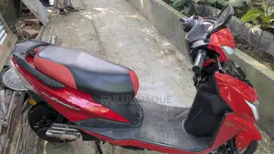 Kary-Go Stroke 2024 Red
