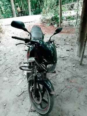 Bajaj Pulsar 150 2019 Red