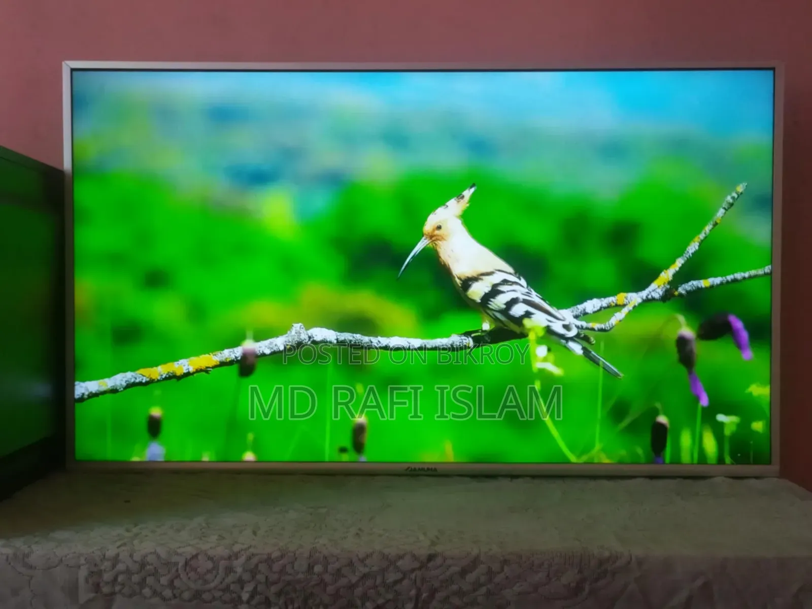 যমুনা গুগল টিভি