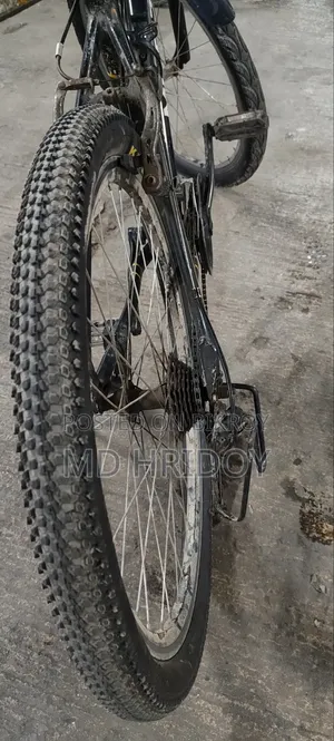 বাইসাইকেল মুস্তাক আলফা ১০১