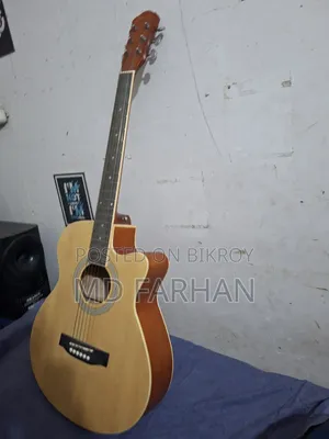Deviser Acoustic Guitar