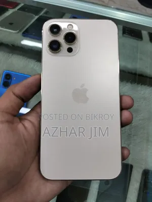 অ্যাপল আইফোন ১২ প্রো ম্যাক্স ২৫৬ জিবি রোজ গোল্ড