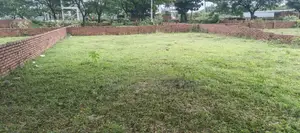 L Block, 5 Katha Plot for Sale in Bashundhara, Baridhara.