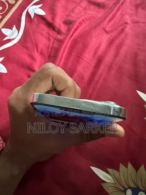 Apple iPhone 14 Pro Max 256 GB Silver