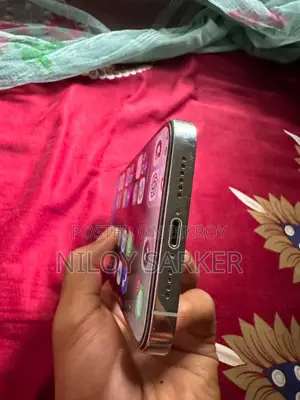 Apple iPhone 14 Pro Max 256 GB Silver
