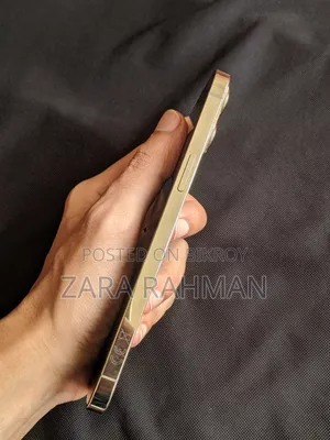 অ্যাপল আইফোন ১২ প্রো ম্যাক্স ১২৮ জিবি গোল্ড