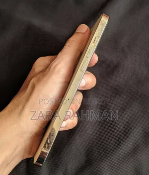 অ্যাপল আইফোন ১২ প্রো ম্যাক্স ১২৮ জিবি গোল্ড
