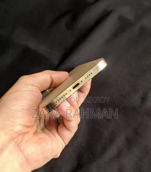 অ্যাপল আইফোন ১২ প্রো ম্যাক্স ১২৮ জিবি গোল্ড