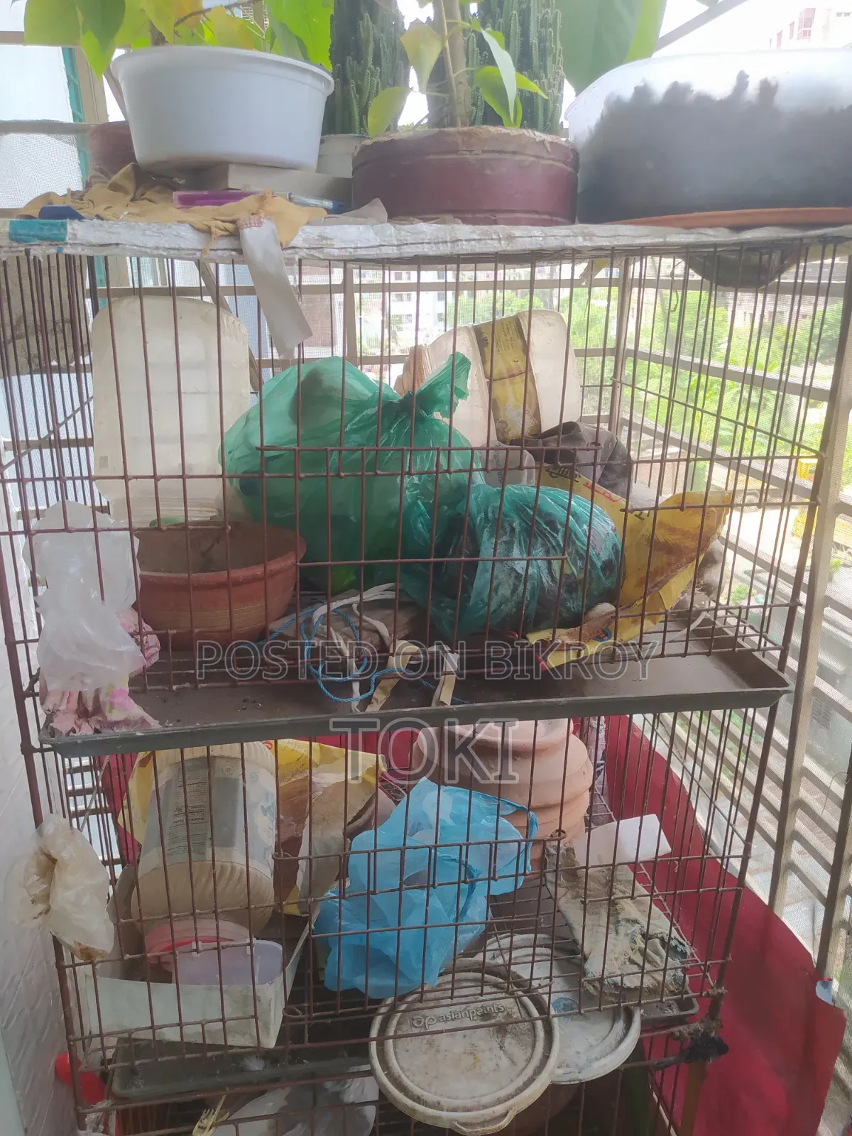 কবুতরের ডাবল খাচা
