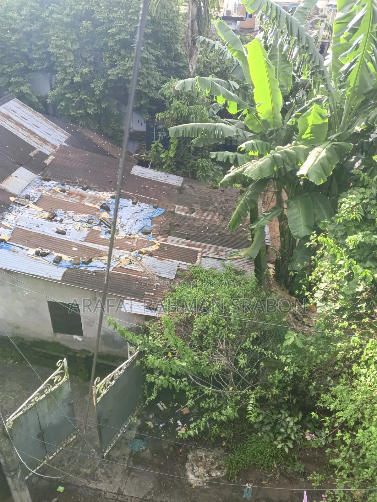 ৪ বেডরুম হাউজ ইন দর্জি মাটি, কানাইঘাট ফর সেল
