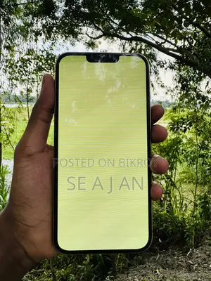 অ্যাপল আইফোন ১৩ প্রো ম্যাক্স ২৫৬ জিবি গোল্ড