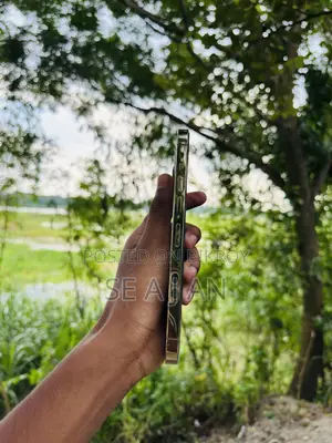 অ্যাপল আইফোন ১৩ প্রো ম্যাক্স ২৫৬ জিবি গোল্ড