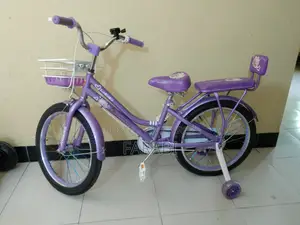 Phoenix Cycle