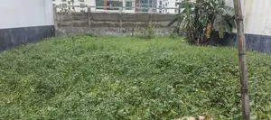 M Block, 20 katha plot for sale Bashundhara, Baridhara.