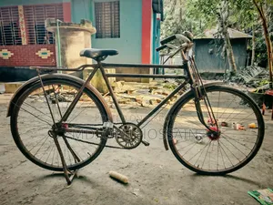 Original Phoenix Bicycle
