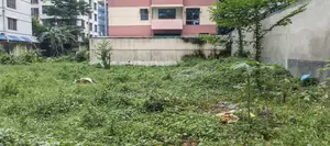 M Block, 10 Katha Plot for Sale Bashundhara, Baridhara.