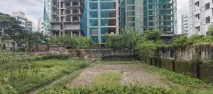 M Block, 4 Katha Plot for Sale in Bashundhara, Baridhara.