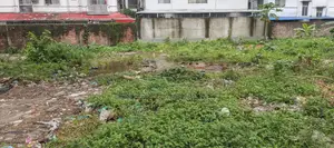 M Block, 5 Katha Plot for Sale in Bashundhara, Baridhara.