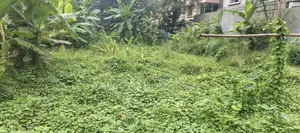 M Block, 5 Katha Plot for Sale in Bashundhara, Baridhara.