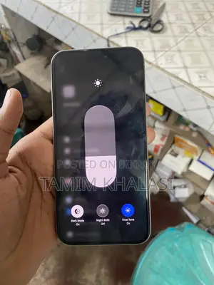 অ্যাপল আইফোন ১৫ প্রো ম্যাক্স ২৫৬ জিবি সিলভার